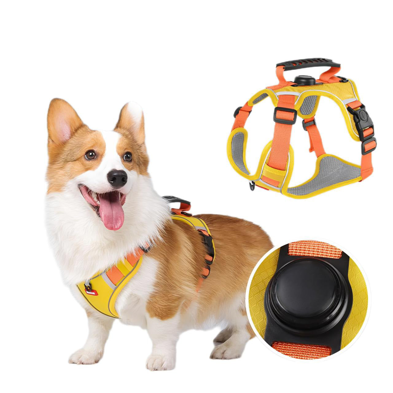 Everyday Dog - Harness & Tracker - Bundle