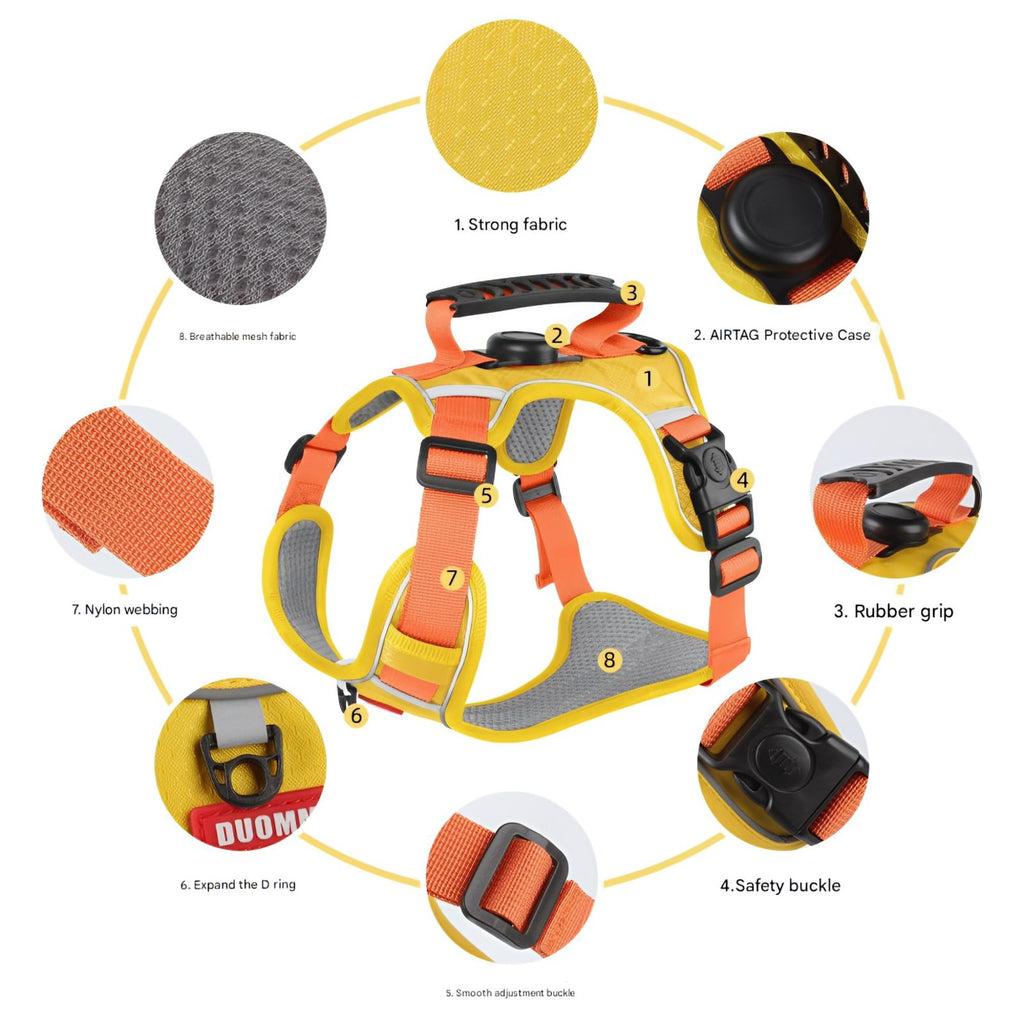 Everyday Dog - Harness - Complete Bundle