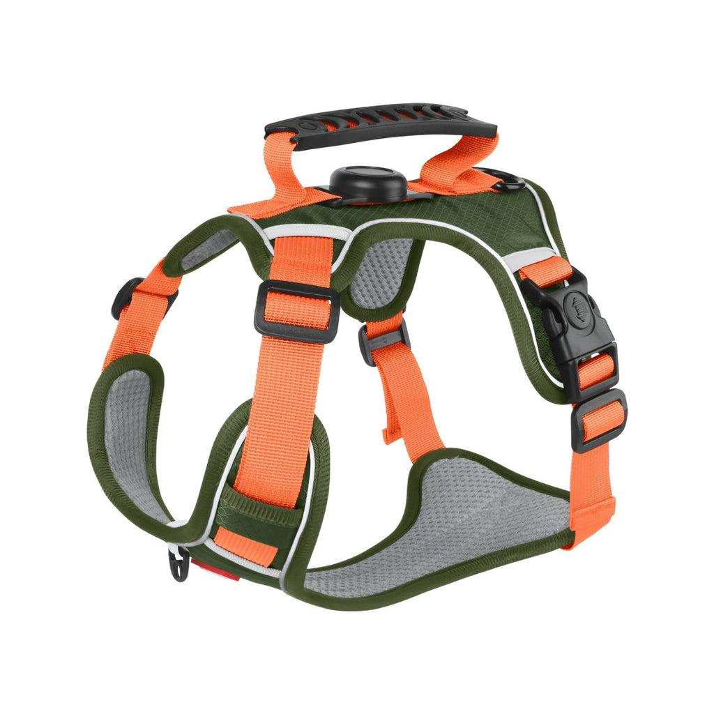 Everyday Dog - Harness - Complete Bundle