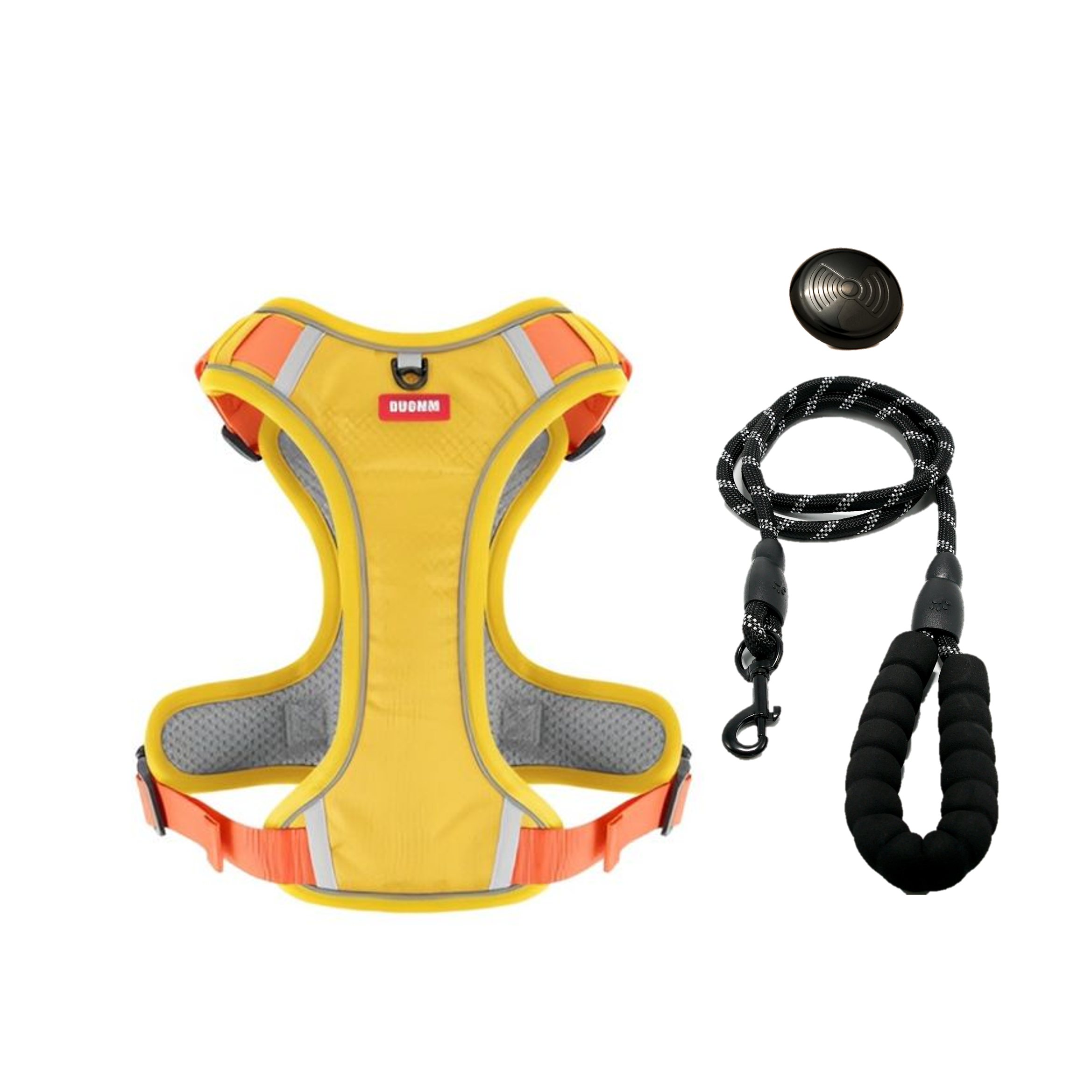 Everyday Dog - Harness - Complete Bundle