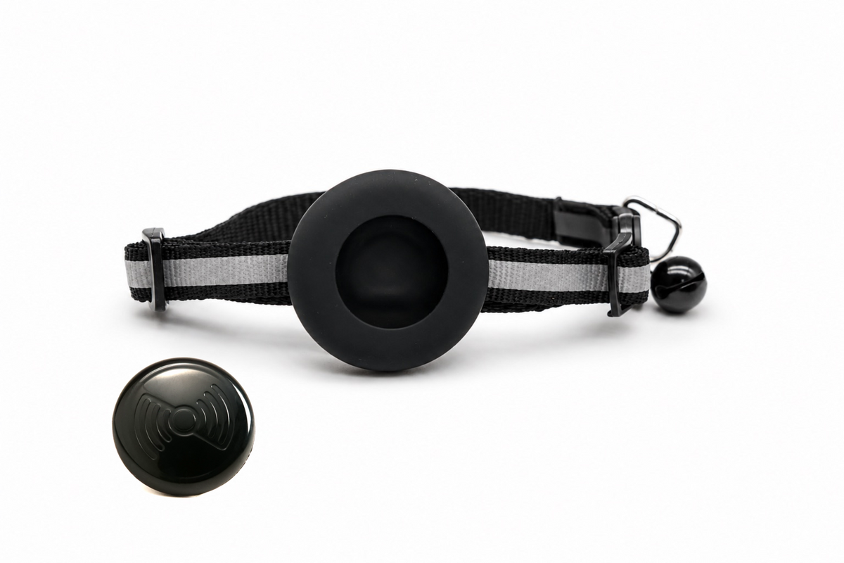 Everyday Cat - Black Reflector - Bundle