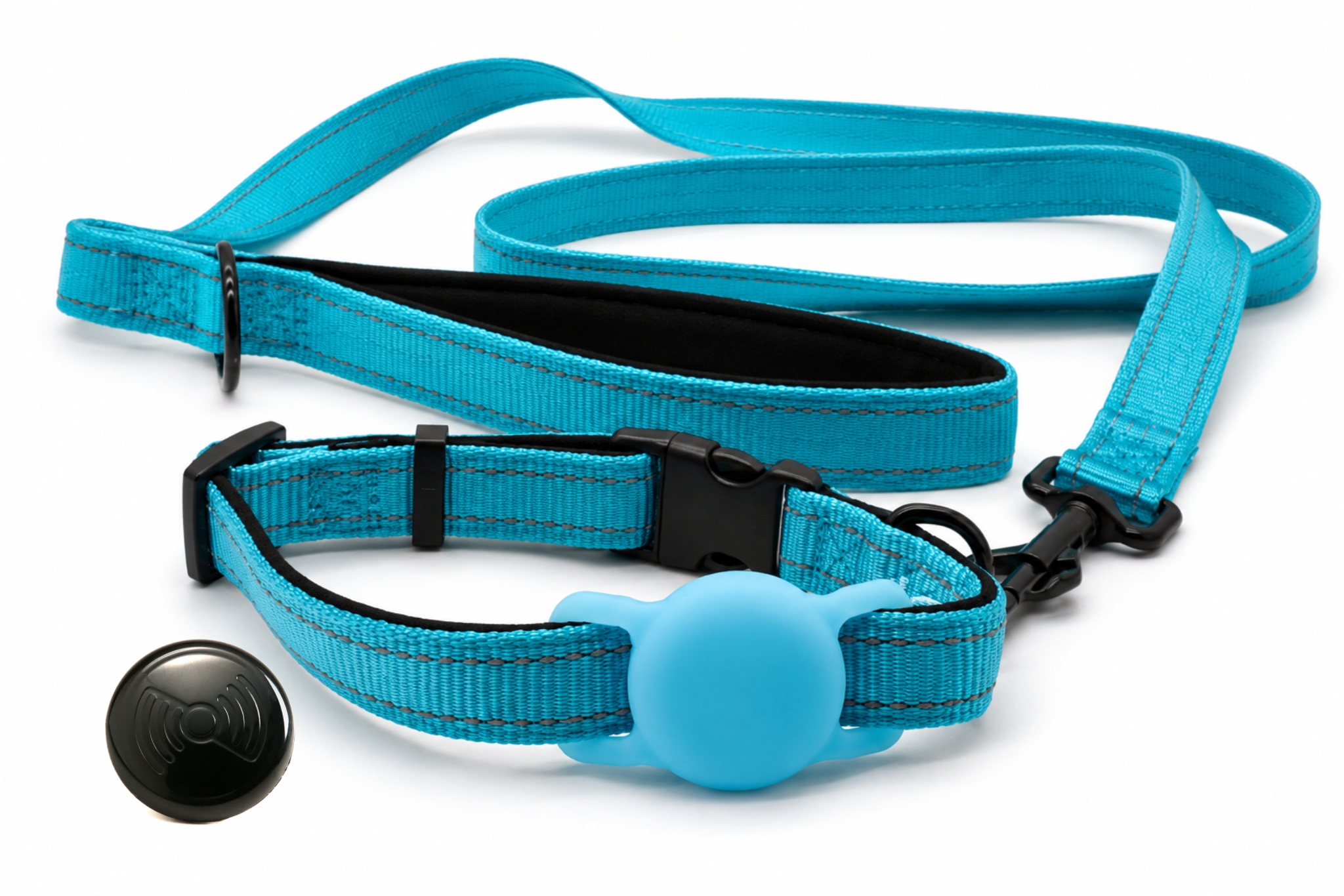 Everyday Dog - Blue Straight Leash - Bundle