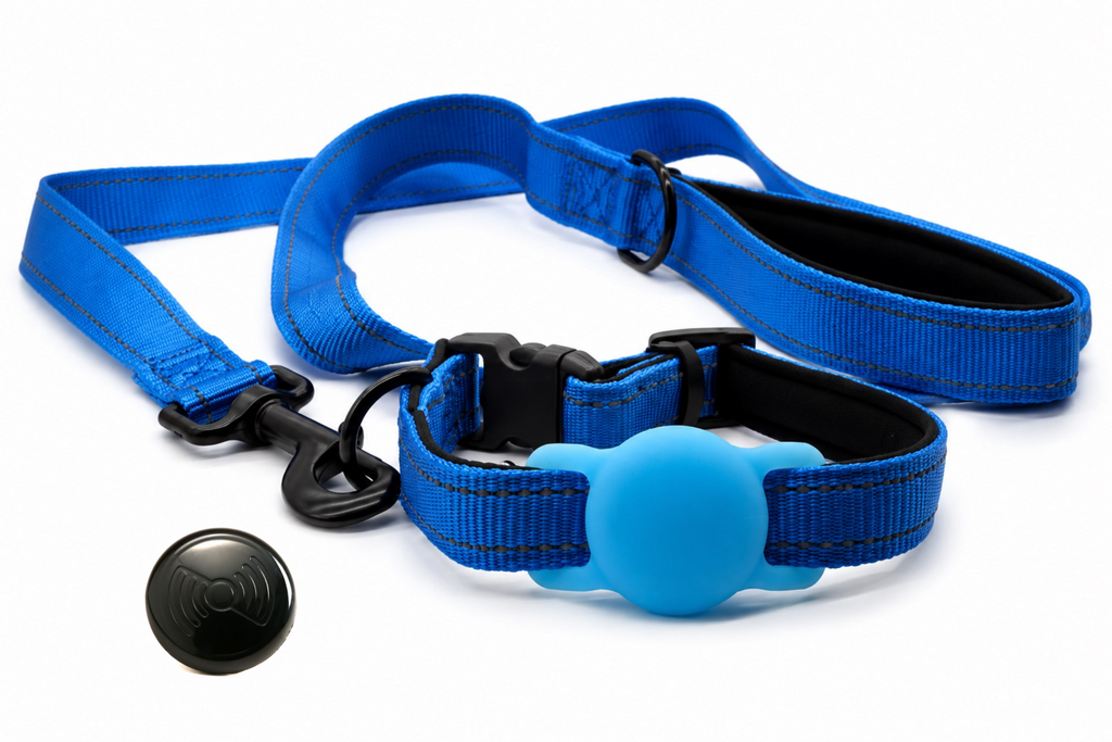 Everyday Dog - Royal Blue Straight Leash - Bundle