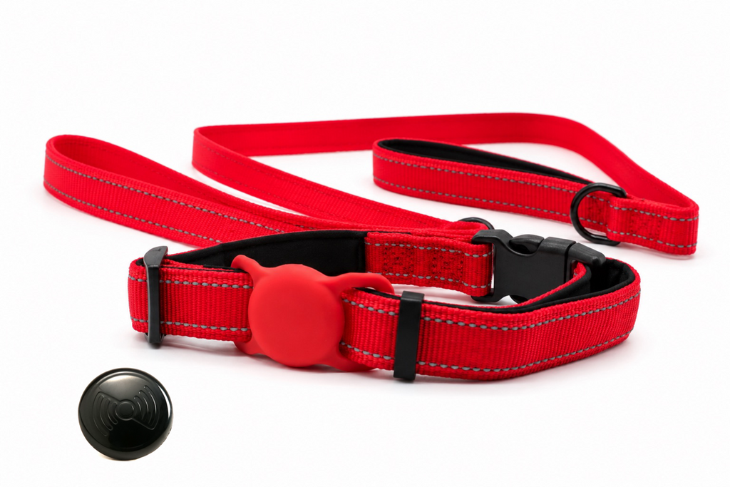 Everyday Dog - Red Straight Leash - Bundle