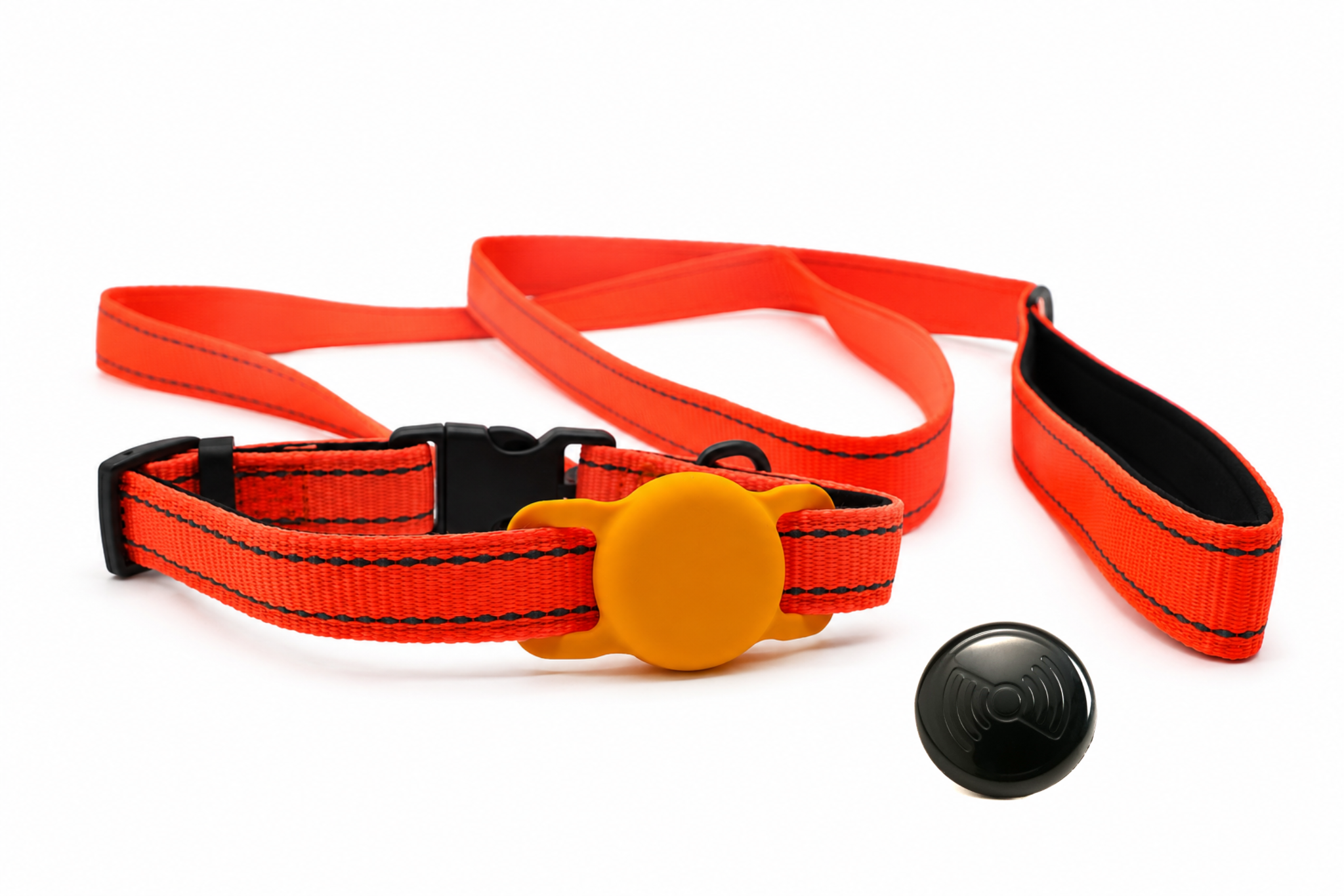 Everyday Dog - Orange Straight Leash - Bundle